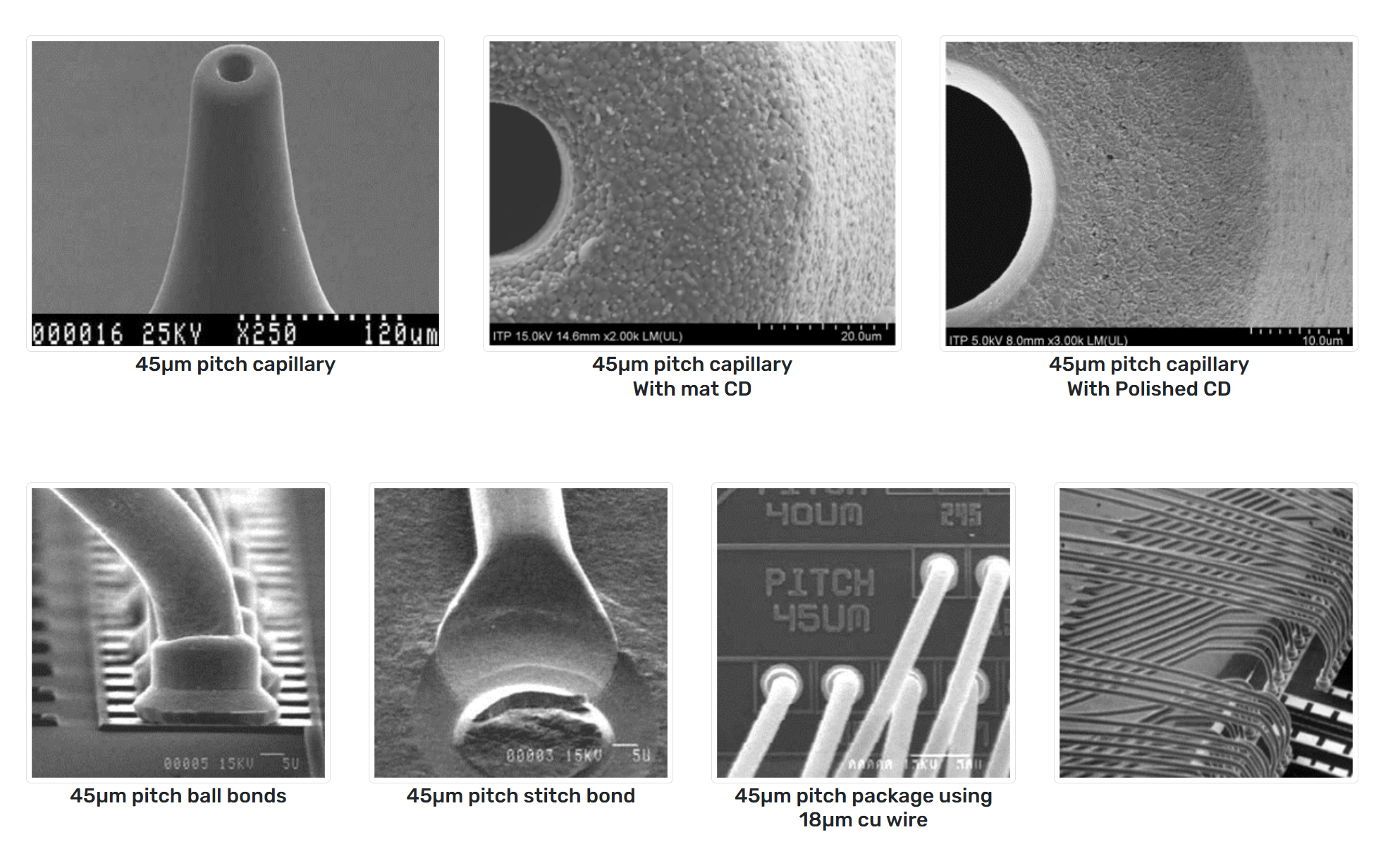 Capillary